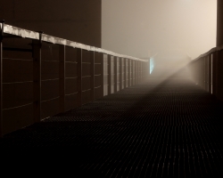 Foto Rui Eugénio - Vencedor do concurso Noites ao Luar 2016