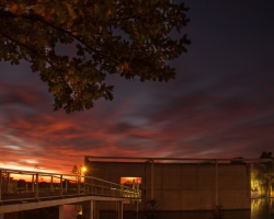 Ricardo Zambujo - Noites ao Luar 2016